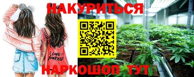 Альфа ПВП Ливны